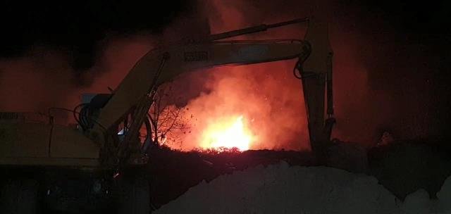 İznik'te sazlık alanda yangın