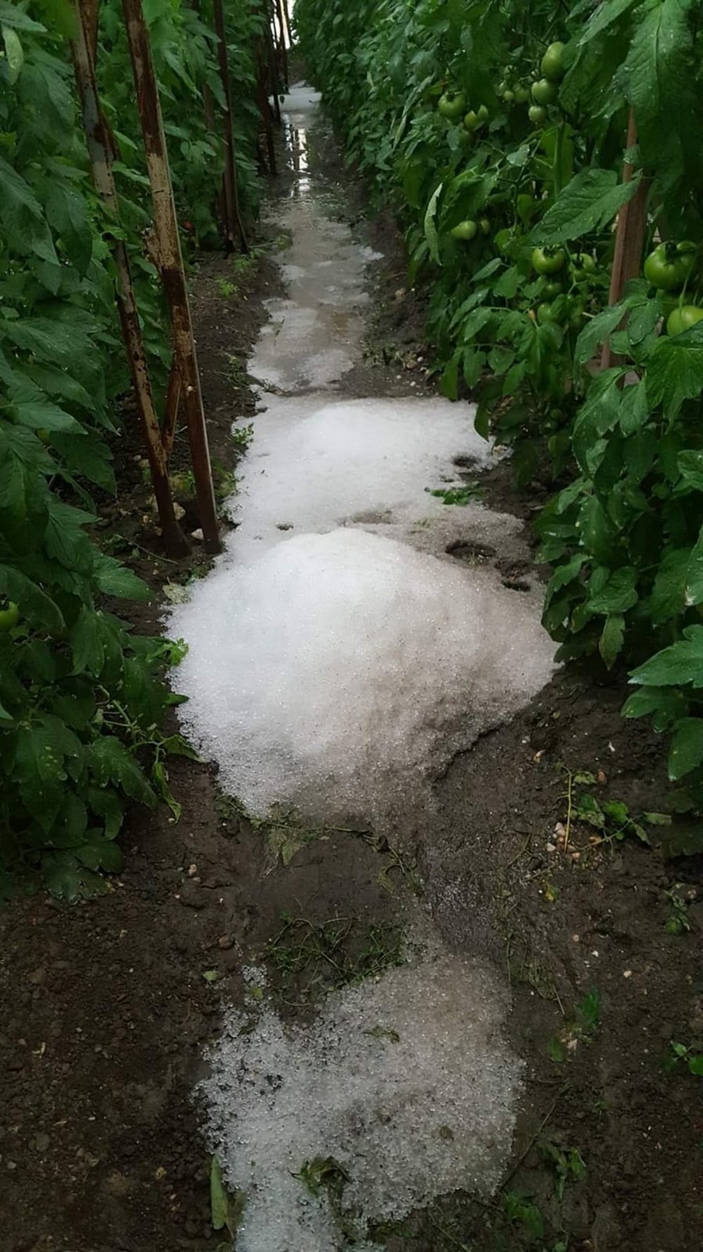 Antalya'yı sağanak vurdu