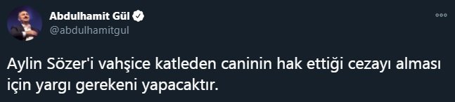 Bakan Gül: Aylin'i katleden caninin hak ettiği cezayı alması için gereken yapılacaktır
