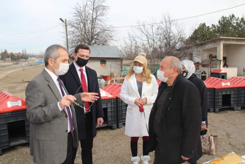 Tosya'da sokak hayvanları için 'Patiler Üşümesin' kampanyası