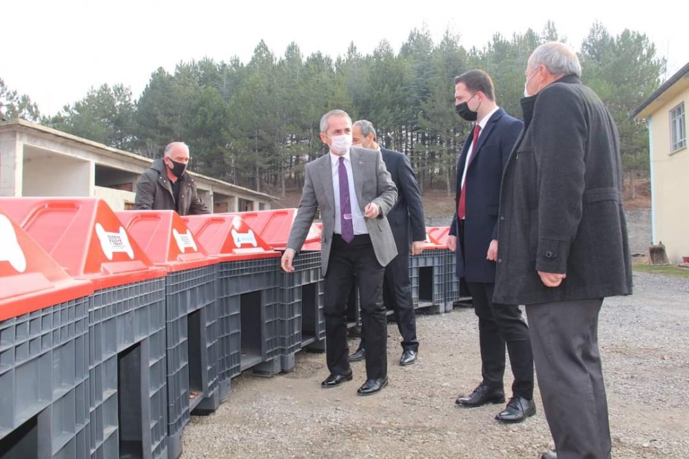 Tosya'da sokak hayvanları için 'Patiler Üşümesin' kampanyası