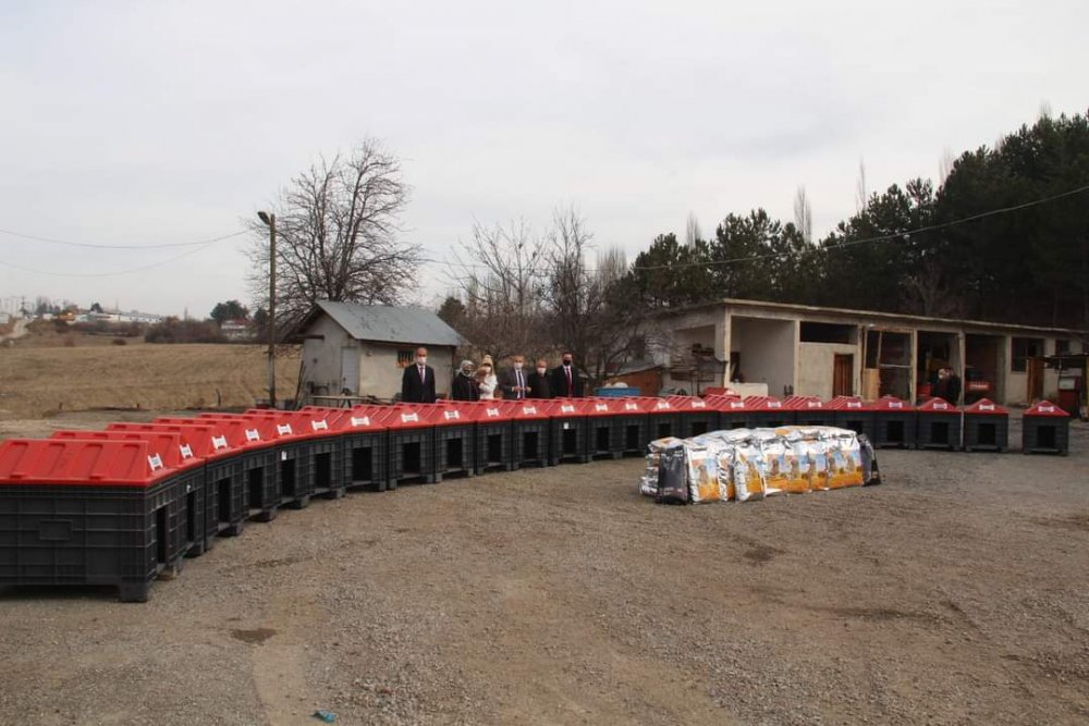Tosya'da sokak hayvanları için 'Patiler Üşümesin' kampanyası