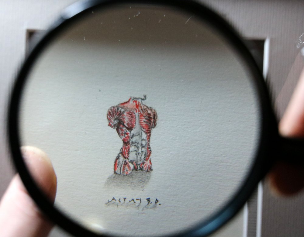 Doktor, mikro çizimler yapıyor