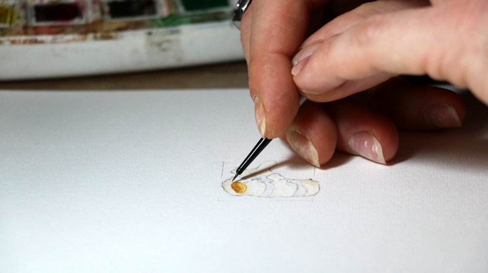 Doktor, mikro çizimler yapıyor