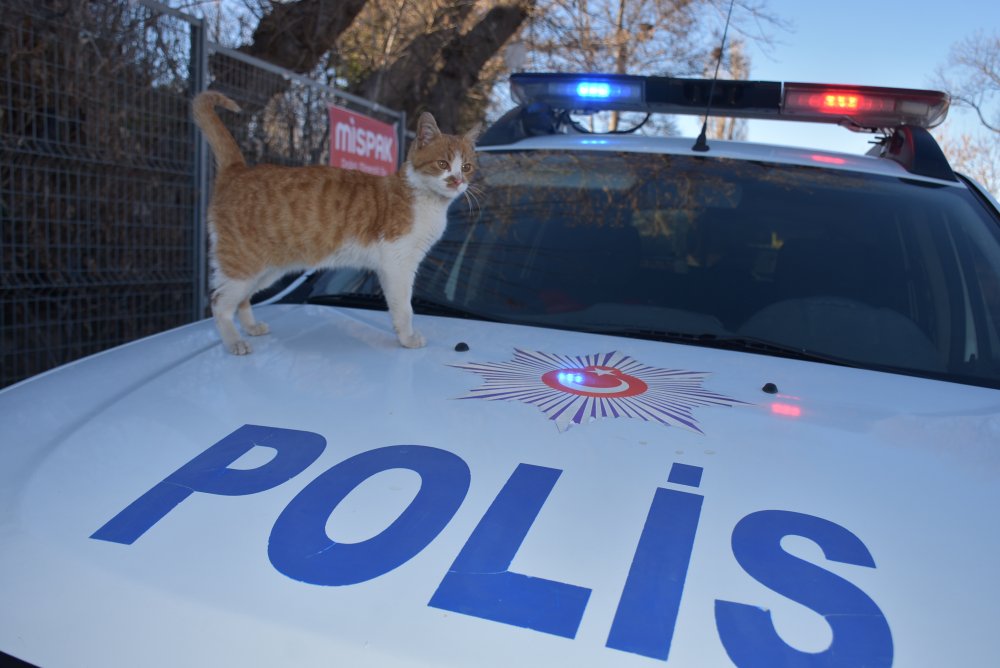 Edirne'de yılın ilk günü 'kısıtlama' uygulaması