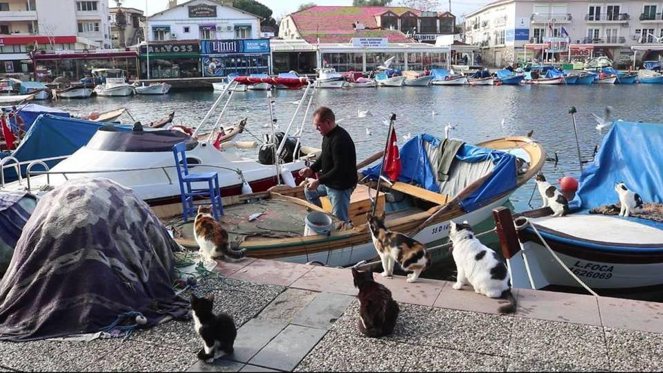 Foça'da yeni yılın ilk günü sessizlik