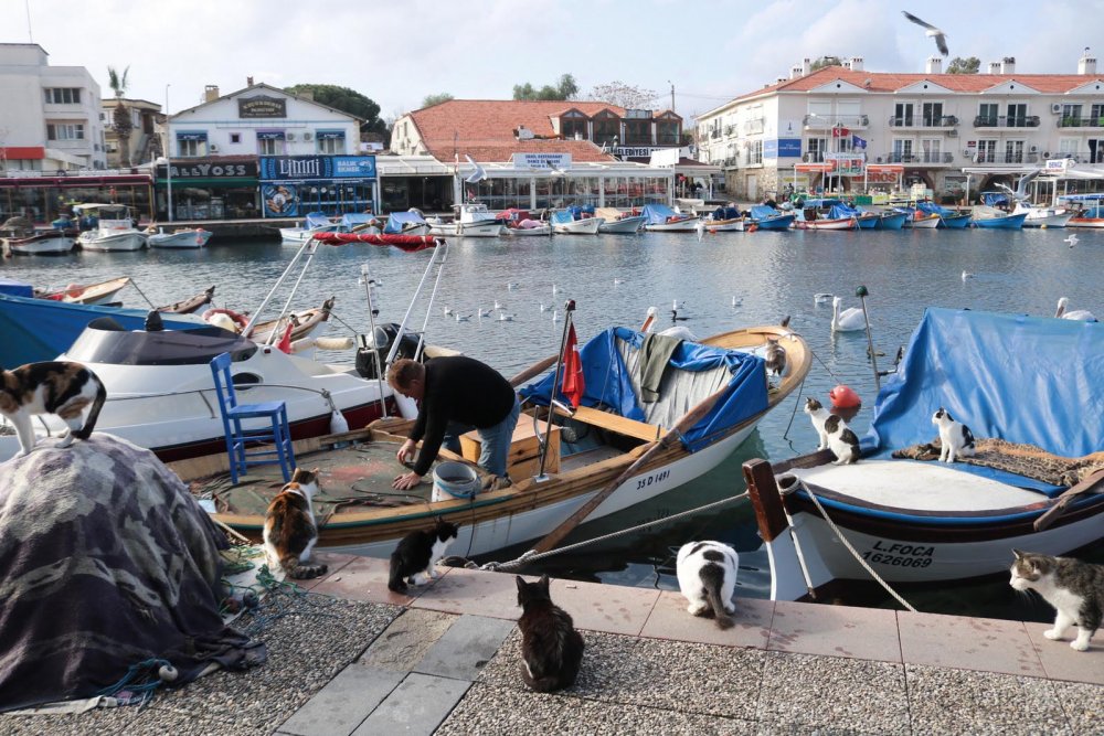 Foça'da yeni yılın ilk günü sessizlik