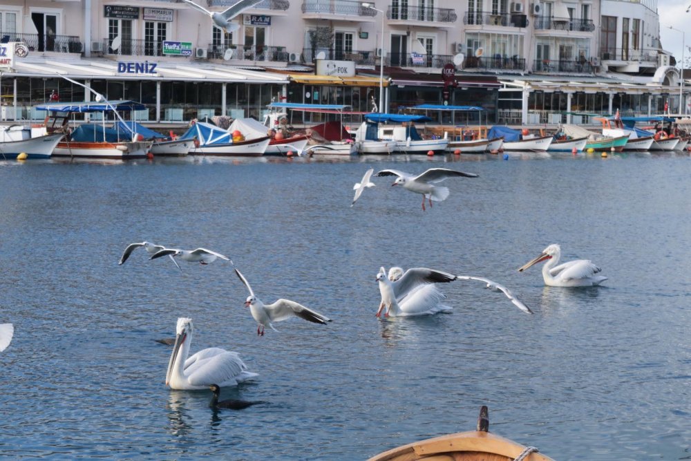 Foça'da yeni yılın ilk günü sessizlik