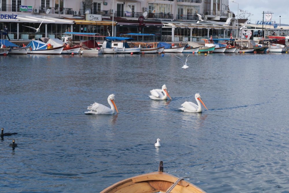 Foça'da yeni yılın ilk günü sessizlik