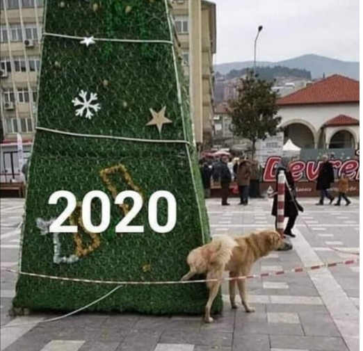 yilmaz-1.jpg