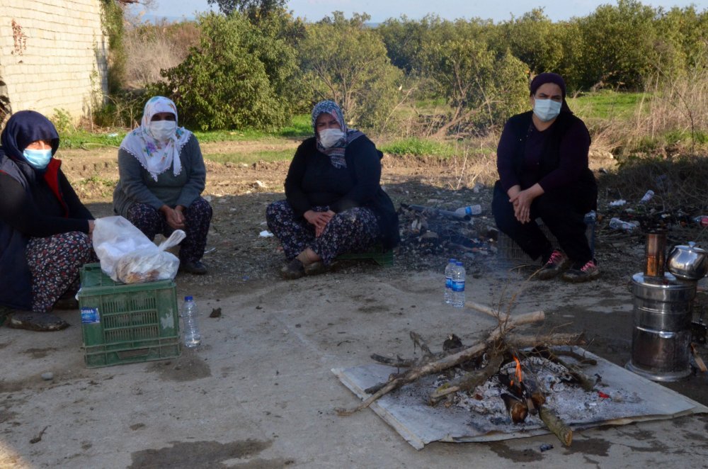 Arazideki 1000'in üzerinde ağaç kesilince, mirasçı kardeşler nöbete başladı