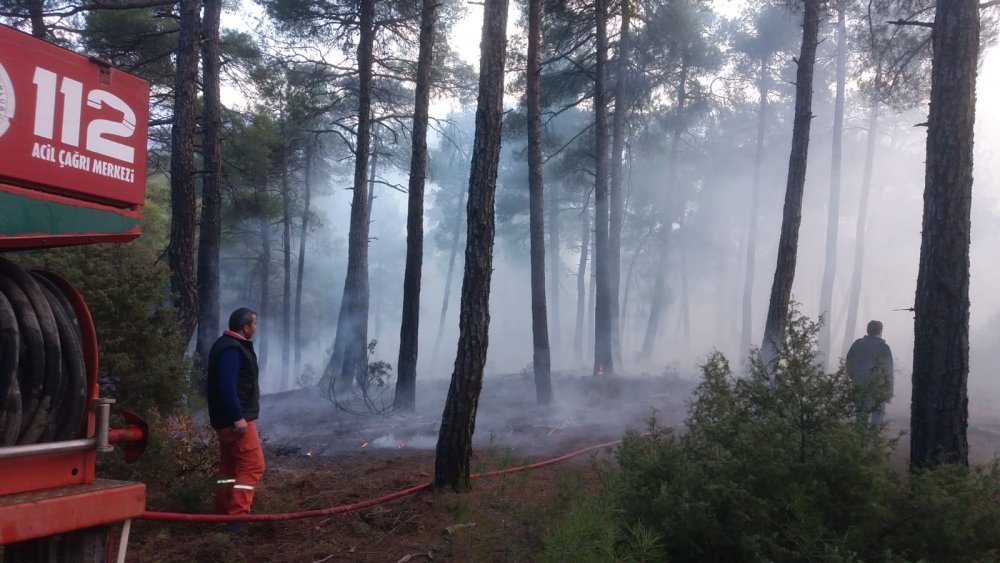 Bursa'da örtü yangını