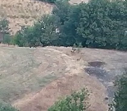 Karacalar köye indi