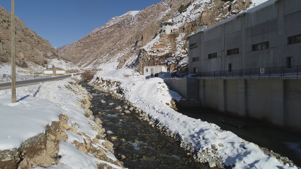 Çatak'ta havuzlarda havasız kalan 12 ton alabalık telef oldu