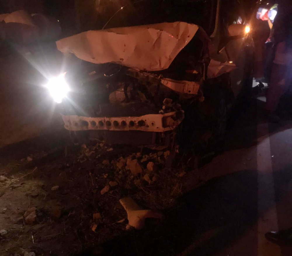 Koyunlarının öldüğünü gören gelin ve kayınvalide, şoke oldu