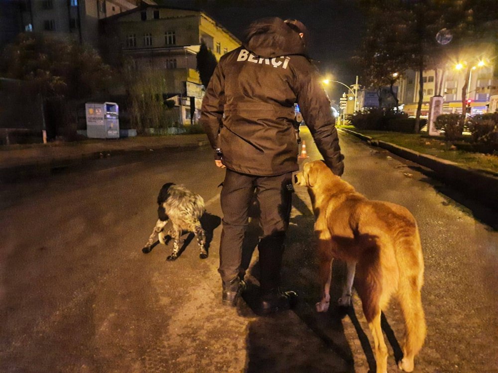 Polisler, aç kalan hayvanları elleriyle besledi