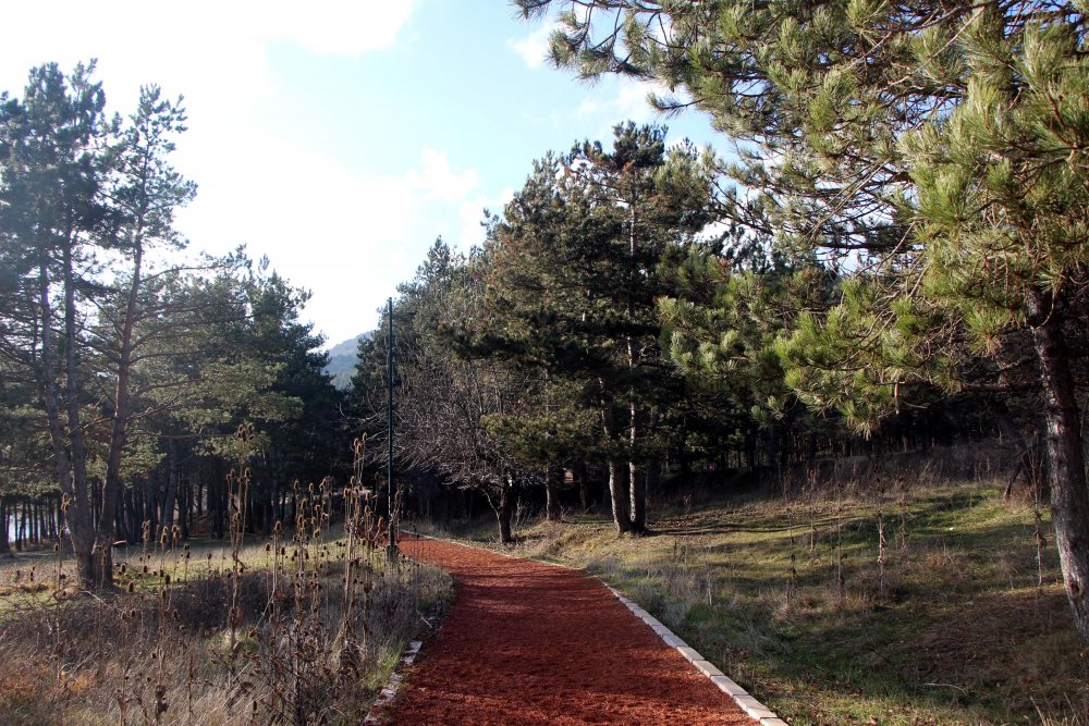 Tatilciler kısıtlamada otelden çıkamadı, Abant Tabiat Parkı boş kaldı
