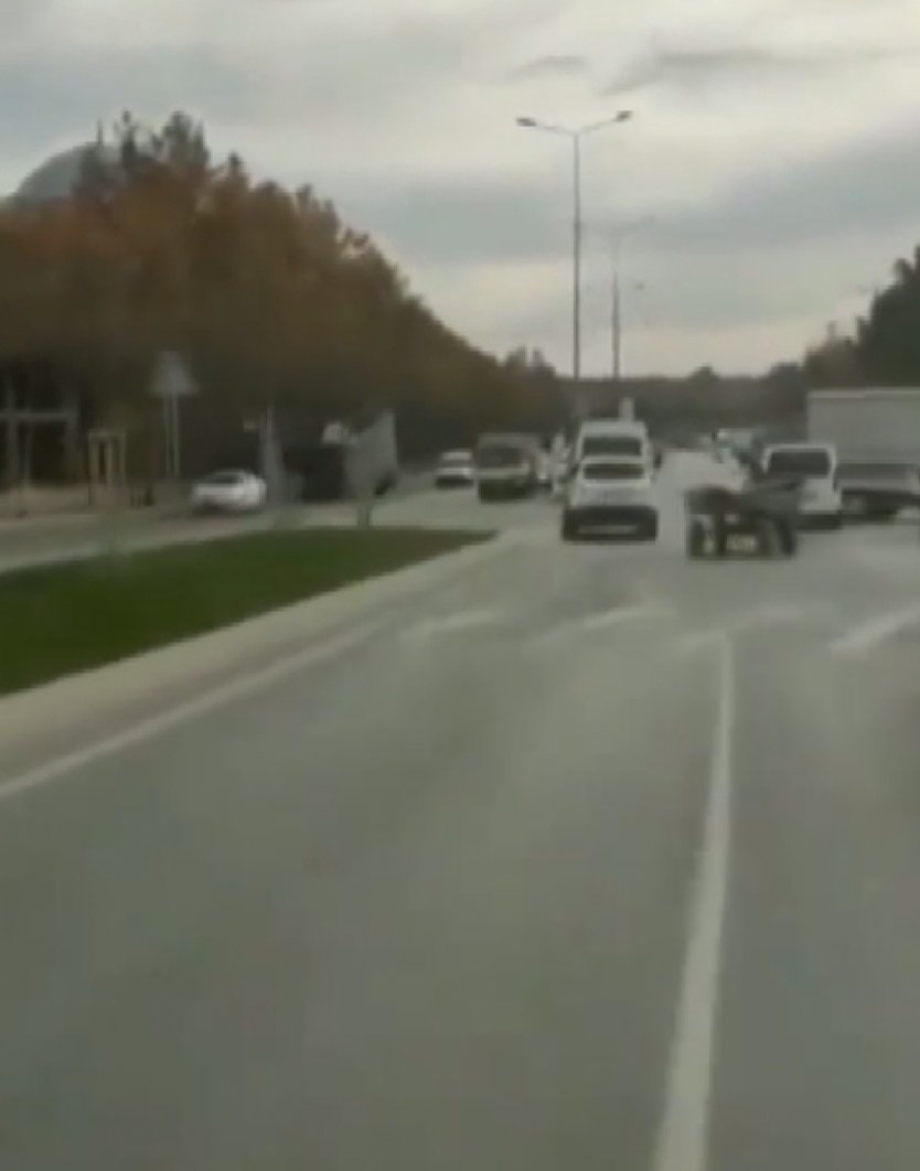 Başakşehir'de  kaçan at ortalığı birbirine kattı