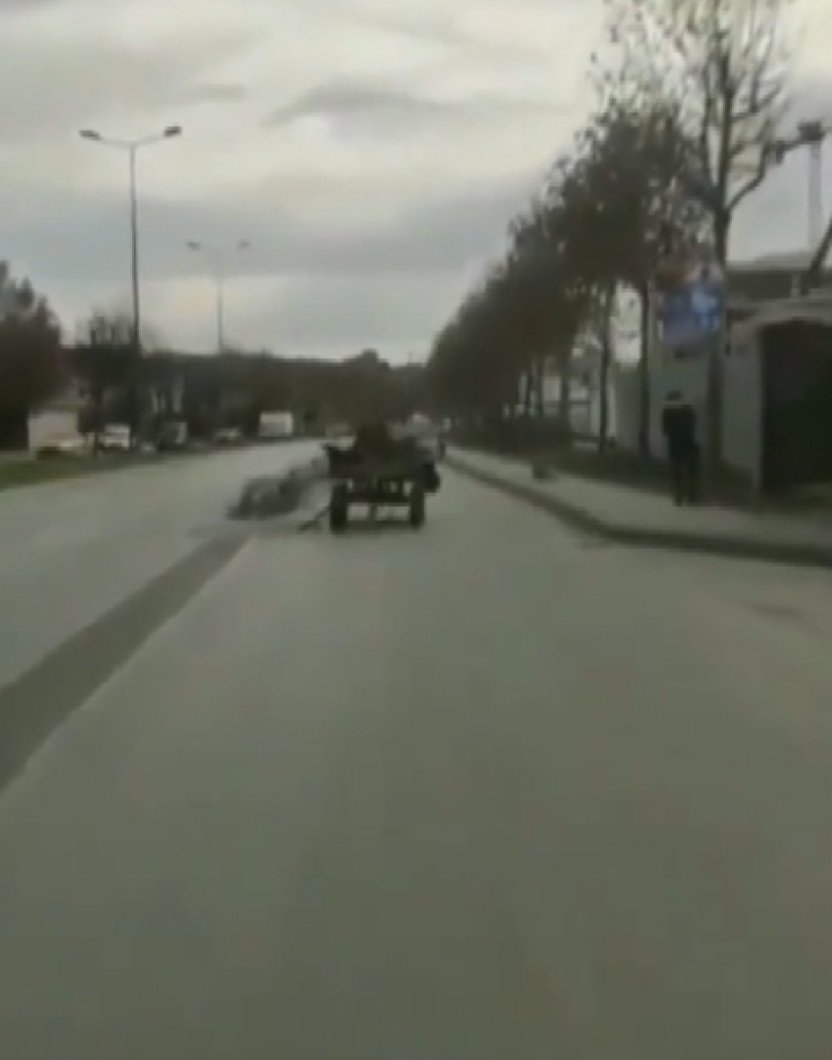 Başakşehir'de  kaçan at ortalığı birbirine kattı