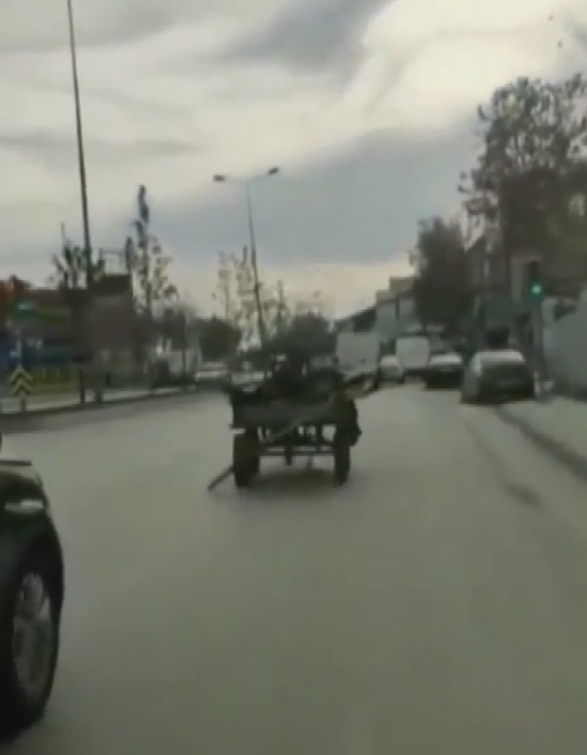 Başakşehir'de  kaçan at ortalığı birbirine kattı
