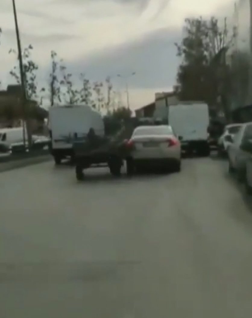 Başakşehir'de  kaçan at ortalığı birbirine kattı
