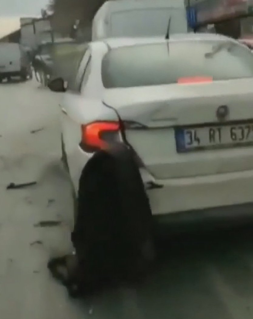 Başakşehir'de  kaçan at ortalığı birbirine kattı