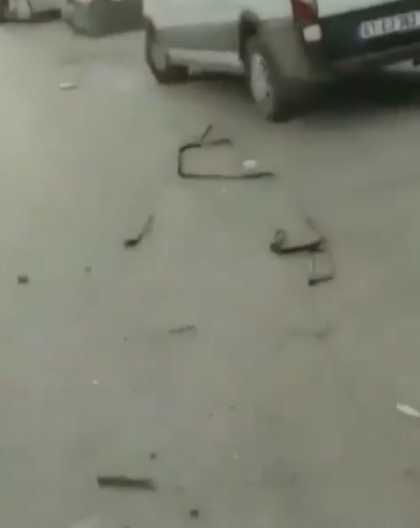Başakşehir'de  kaçan at ortalığı birbirine kattı