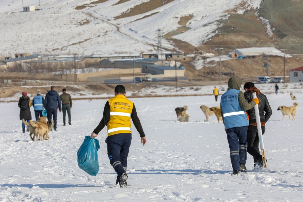 Van'da, kısıtlamada can dostlar unutulmadı