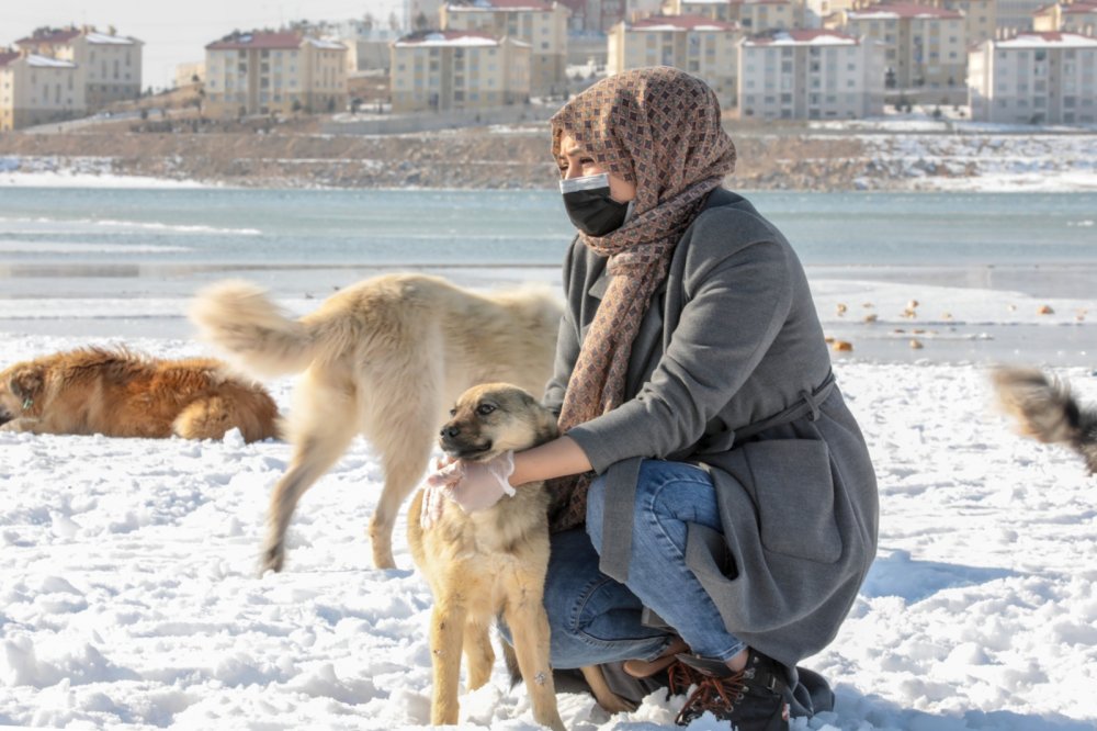 Van'da, kısıtlamada can dostlar unutulmadı