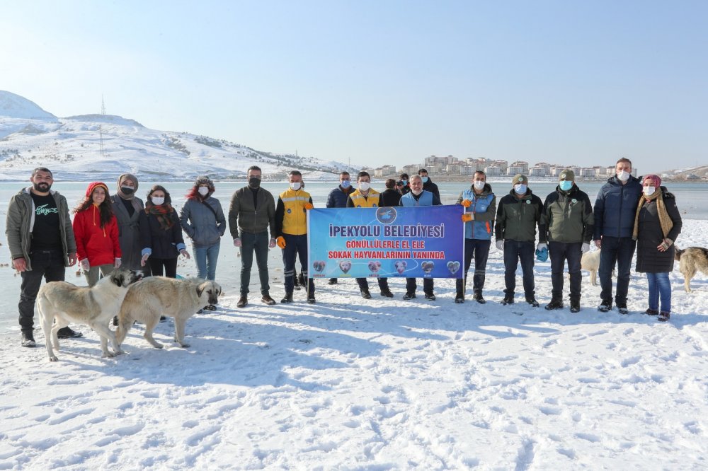 Van'da, kısıtlamada can dostlar unutulmadı