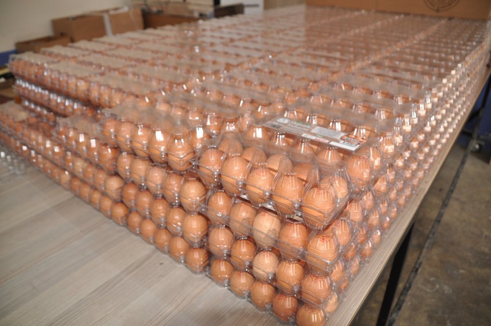 Pandemide yumurtaya talep yüzde 100 arttı