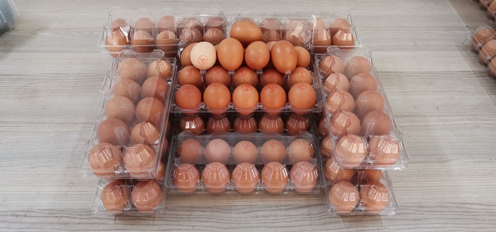 Pandemide yumurtaya talep yüzde 100 arttı