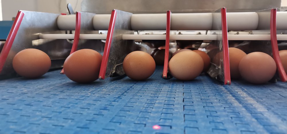 Pandemide yumurtaya talep yüzde 100 arttı