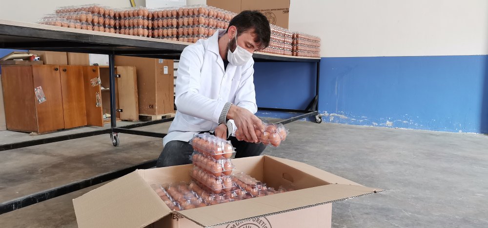 Pandemide yumurtaya talep yüzde 100 arttı