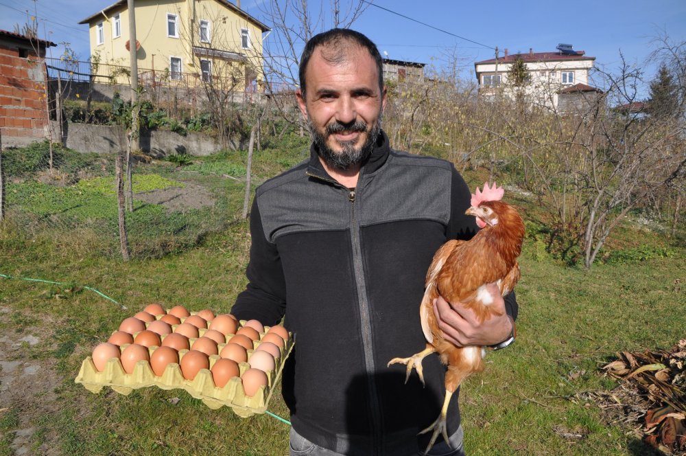 Pandemide yumurtaya talep yüzde 100 arttı