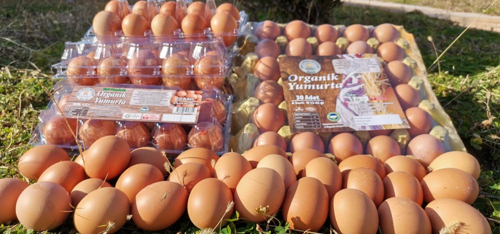 Pandemide yumurtaya talep yüzde 100 arttı