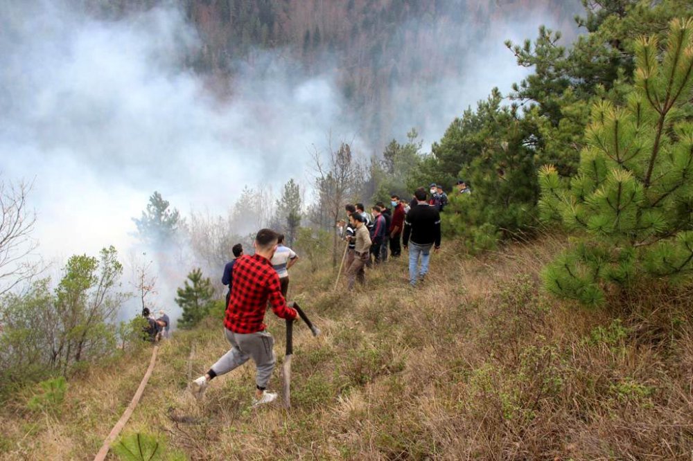 Kastamonu'da iki orman yangını