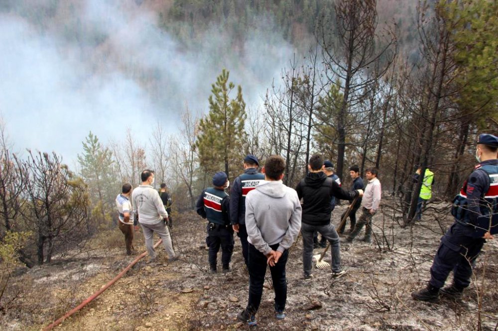 Kastamonu'da iki orman yangını