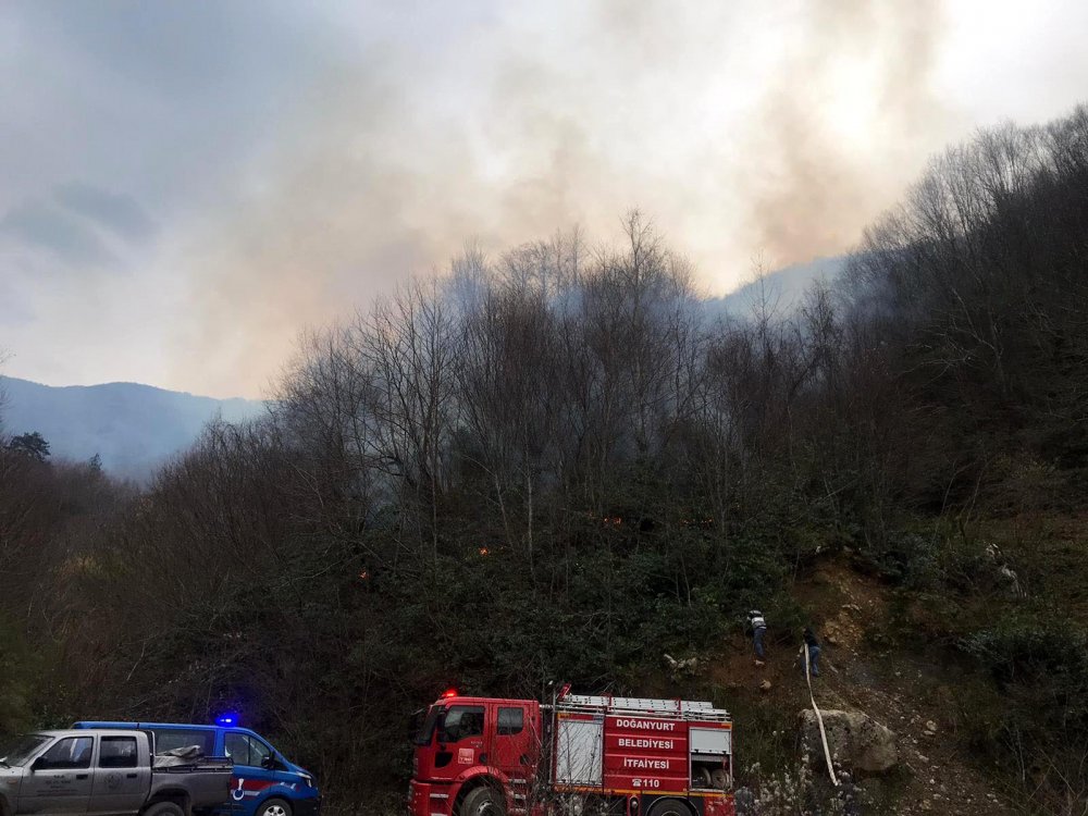 Kastamonu'da iki orman yangını
