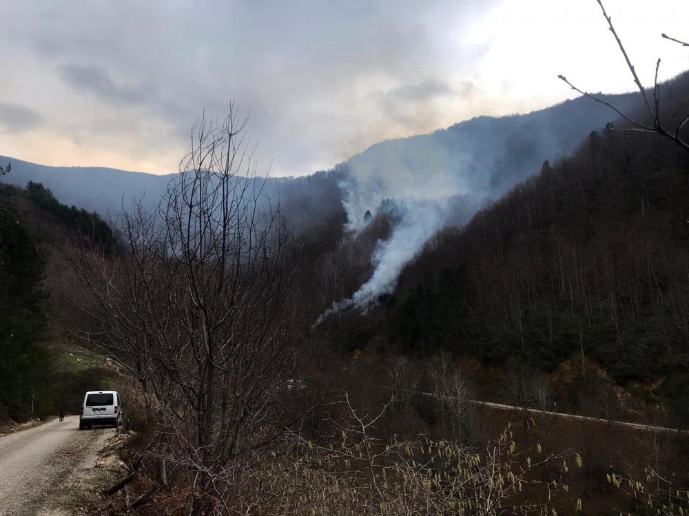 Kastamonu'da iki orman yangını
