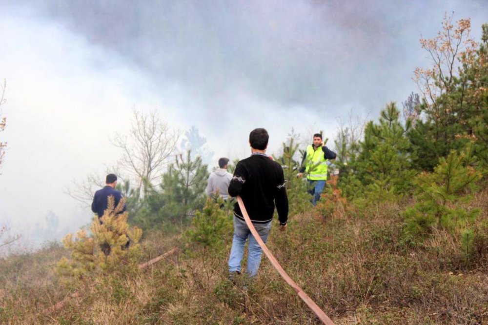Kastamonu'da iki orman yangını