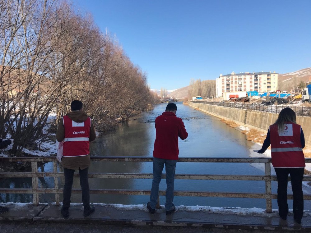 Bayburt sokak hayvanları unutmuyor