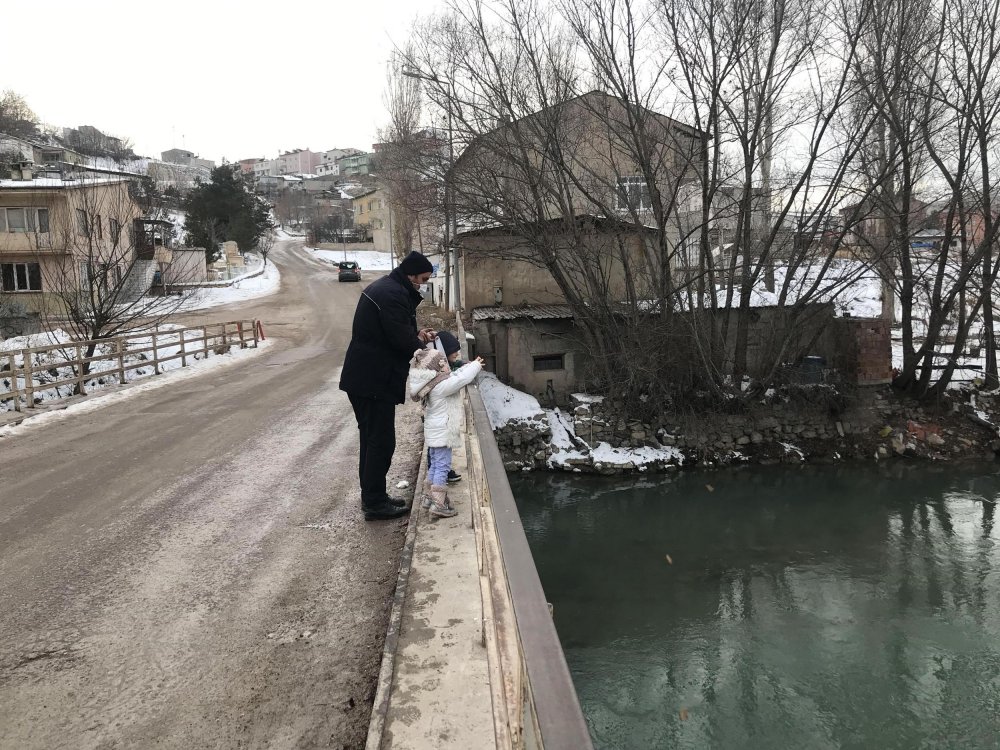 Bayburt sokak hayvanları unutmuyor