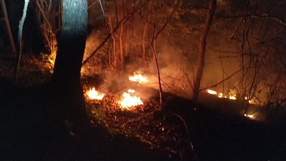 Doğu Karadeniz’de, 4 ilde, 23 noktada yangın; ekipler müdahale ediyor  