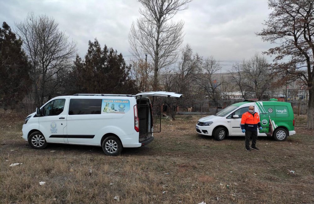 Köpek dövüştüren çiftlik sahibine 26 bin lira ceza