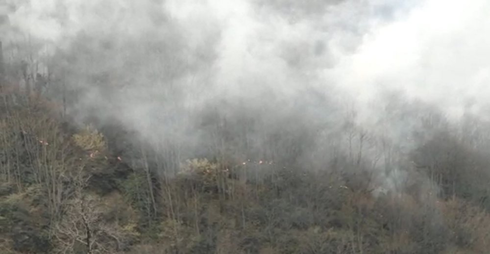 Ordu'da örtü yangını