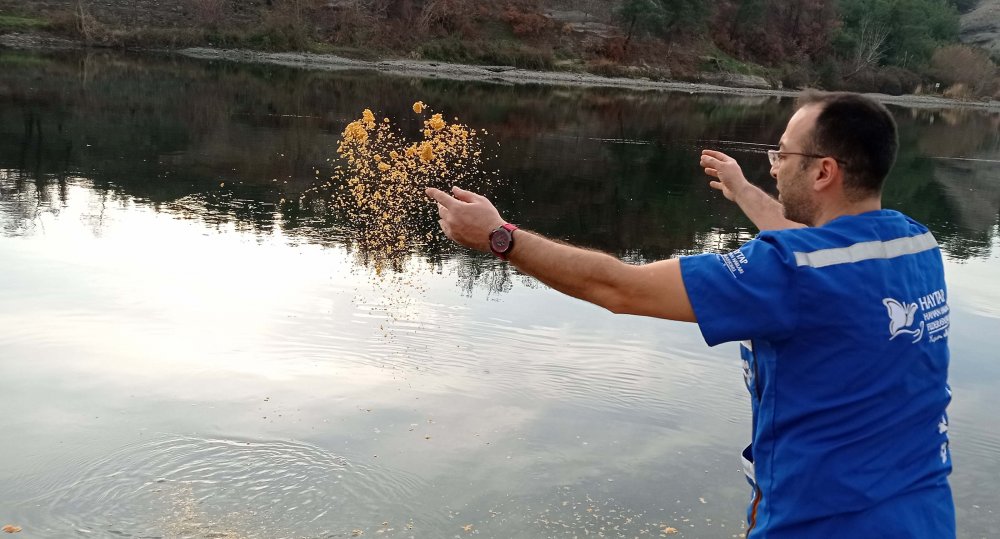 Sokağa çıkma kısıtlamasında, doğadaki kuş ve nehirdeki balıklar beslendi