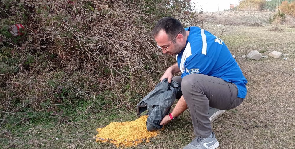 Sokağa çıkma kısıtlamasında, doğadaki kuş ve nehirdeki balıklar beslendi