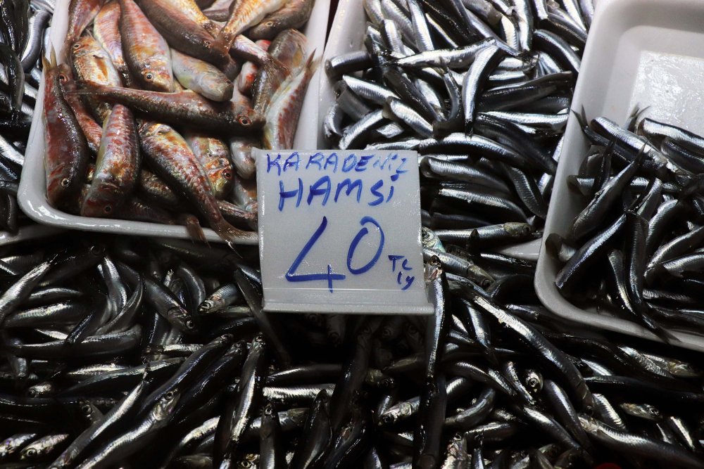 Avlanma yasağı getirilen hamsinin kilosu 40 liraya yükseldi