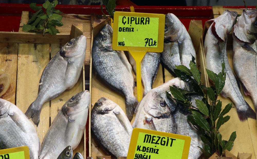 Avlanma yasağı getirilen hamsinin kilosu 40 liraya yükseldi